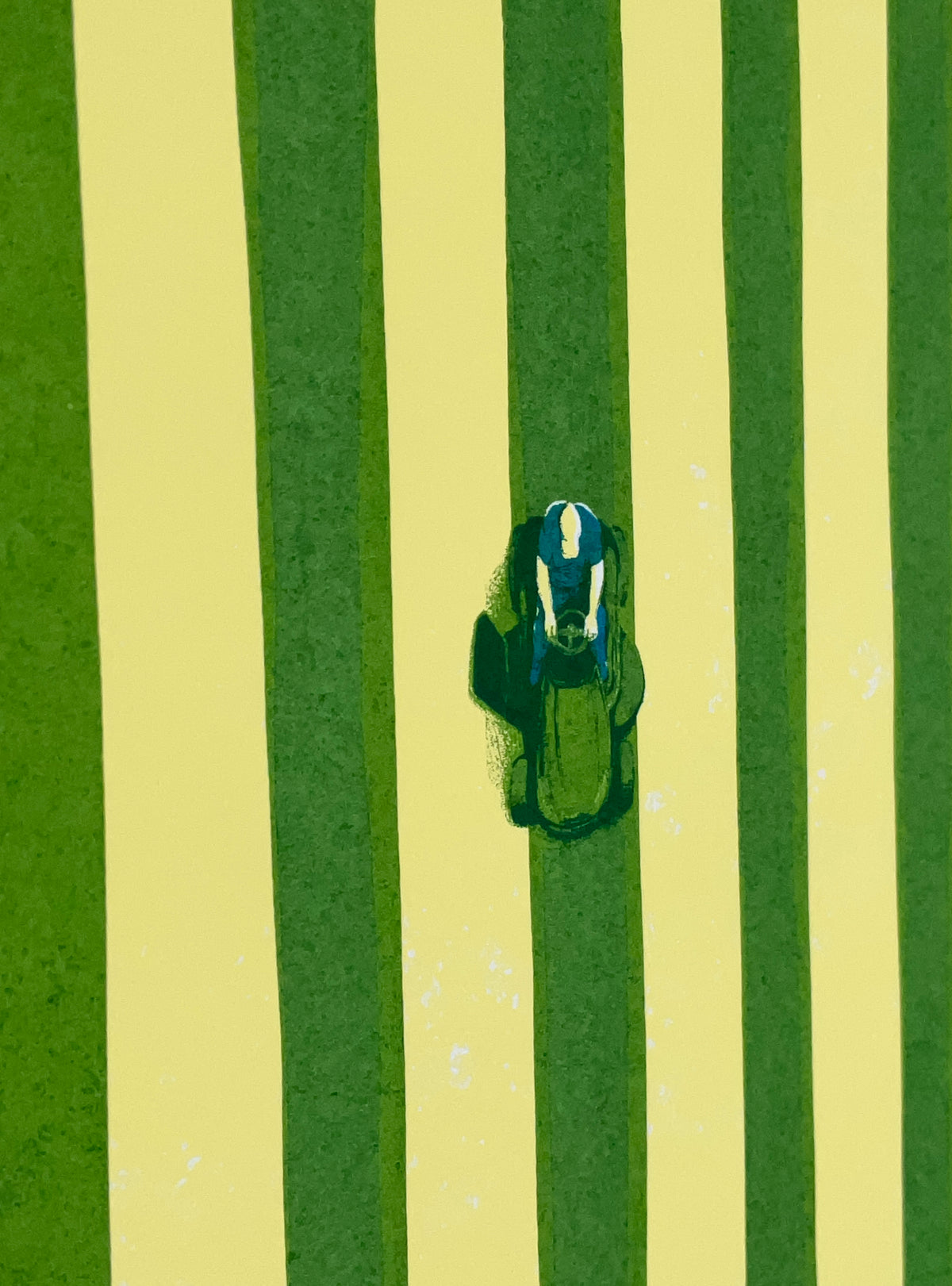 "Mow" - Trichrome